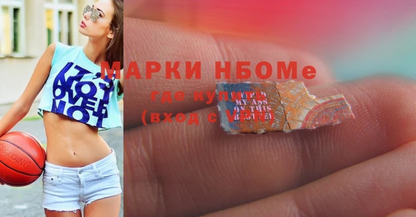 шишки Алзамай