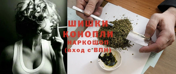 шишки Алзамай