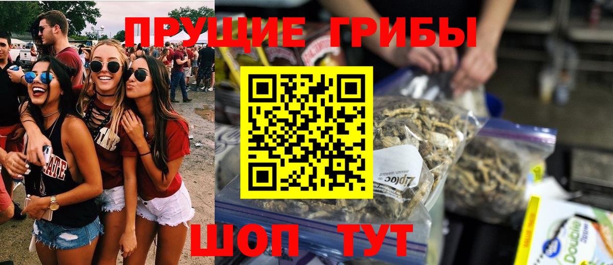Галлюциногенные грибы прущие грибы Новозыбков
