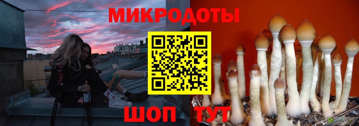 Новозыбков  Псилоцибиновые грибы Magic Shrooms  Вход с VPN 