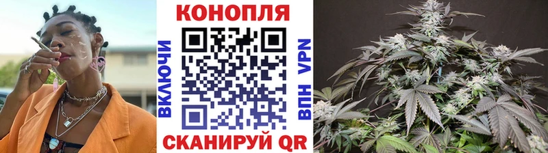 Канабис план  кракен сайт  Новозыбков 
